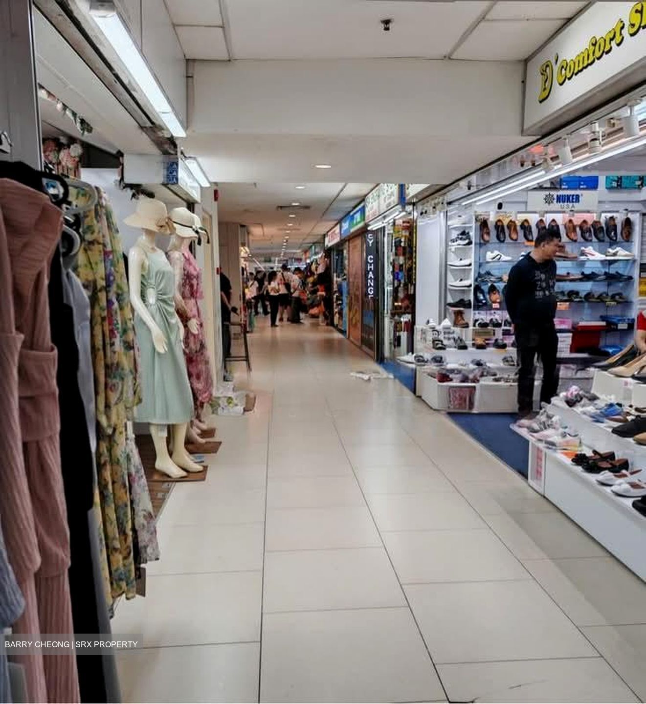 Lucky Plaza (D9), Shop House #536362721